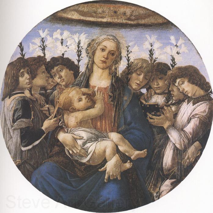 Sandro Botticelli Madonna and Child with eight Angels or Raczinskj Tondo (mk36) France oil painting art